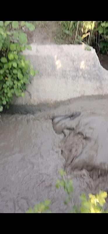 ev gulleri ve adlari: Salam her kese 1 hektar 13 sot çixariwli Şabran rayon güneşli kentinde — 3