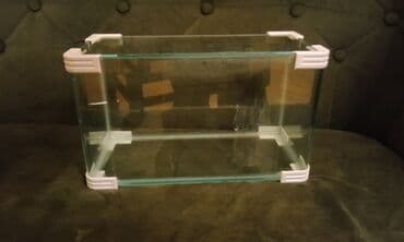 azerbaycanca pişik adlari: Salam! 1 şəkil -Akvarium - 35 manata 40 idi 2 şəkil -filtr - 16 — 1