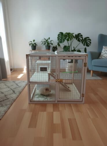 Salam Quş üçün, Cunqarik üçün, Dovşan üçün, Siçan üçün, Xomyak üçün lalafo.az -da Salam Quş üçün, Cunqarik üçün, Dovşan üçün, Siçan üçün, Xomyak üçün