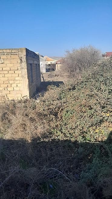 bine savxozda satilan heyet evleri: Tikinti, Mülkiyyətçi — 7
