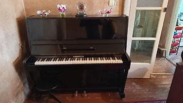 Velosiped aksesuarları: Piano, Belarus, Akustik — 1