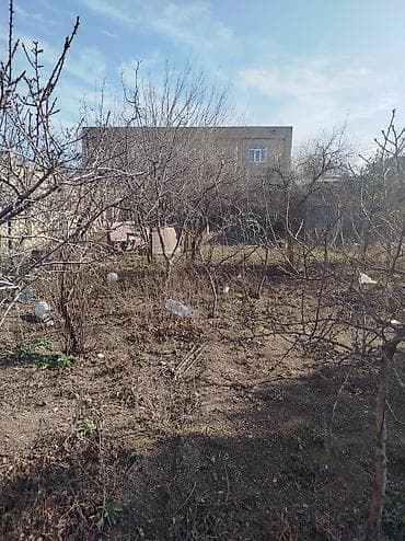 absheron: 4 sot, Tikinti, Maklerlər narahat etməsin, Kupça (Çıxarış) — 10