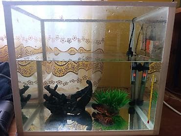 kompresor akvarium: Akvarium və balıq dəsti satılır. Dəst tərkibi: - Şüşə akvarium — 7