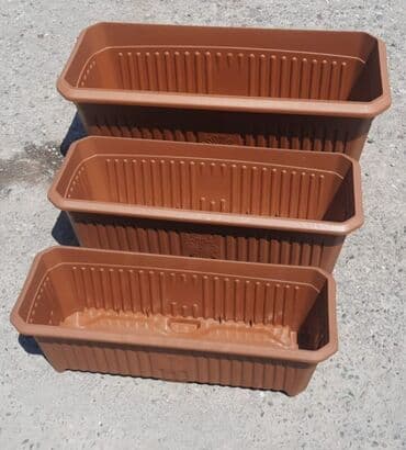 орхидея баку: Dibcek kvadrat duzbucaqli bitkilər üçün dibçəklər Dibcekler — 7