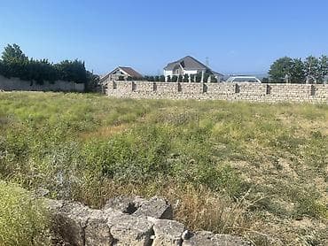 4 sot: 6 sot, Tikinti, Mülkiyyətçi, Kupça (Çıxarış) — 4