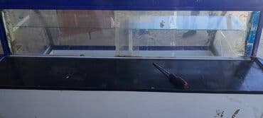 купить аппарат мороженого: Soyuducu vitrinin - Mağaza, kafe və şirniyyat köşkləri üçün şüşə — 2