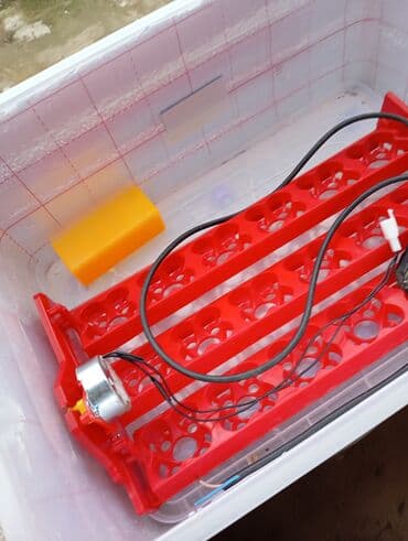 Gözəllik və estetika avadanlığı: Avtomatik inkubator qurğusu - Şəffaf plastik konteyner əsaslı korpus — 2