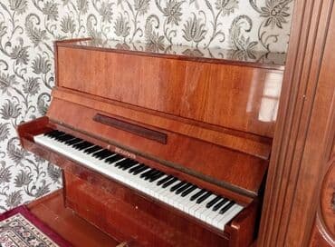 rus dili kitabı 5 ci sinif: Piano, Belarus, Akustik — 1