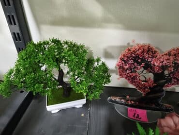 Süni bonsay dekoru - Material: keyfiyyətli plastik və polimer - Rəng