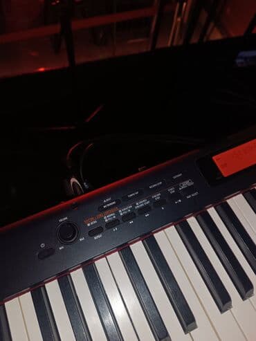 elektron pianolarin satisi: Пианино, Casio, Цифровой — 4