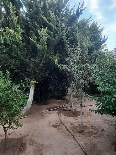 garden: Bakı, 90 kv. m, 2 otaqlı, Hovuzlu, Su — 8