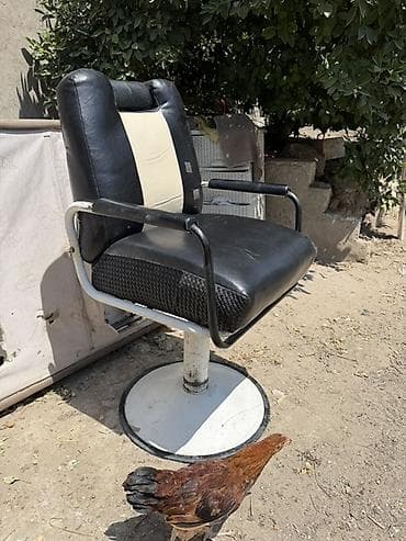 Salon kreslo iwleydu herwey — 2