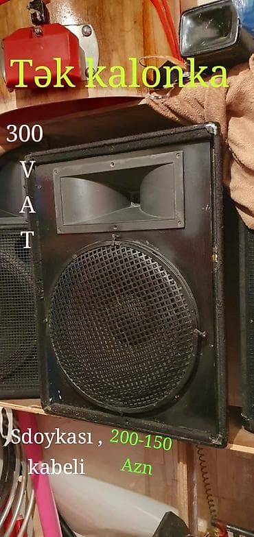 Tək akustik kolonka - Güclü səsləndirmə üçün iri woofer və horn tipli