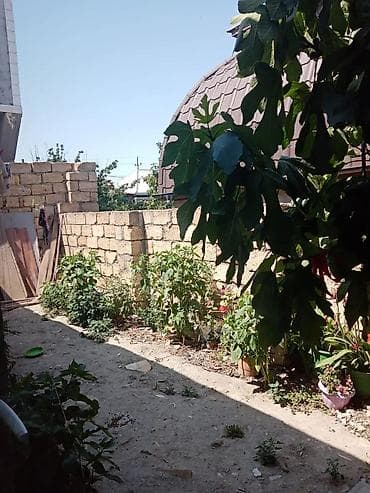 ramani kiraye: Ev satilir 3 otag studiya kupcali 119 ve 596 herbi hissenin yani 2 — 9