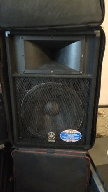 səs gücləndirci: Tək Və Cüt Komplektlerin — 30