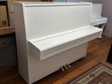 hədəf azərbaycan dili qayda kitabı qiyməti: Piano, Petrof, Akustik, Yeni, Pulsuz çatdırılma — 10