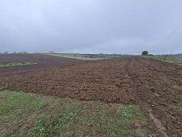 quba satılıq evlər: 210 sot, Kənd təsərrüfatı, Mülkiyyətçi, Kupça (Çıxarış) — 2