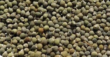 herf tortlar instagram: Salam Aleykum Bamiyə toxumu satılır Toxumlar Türkiyənin Denizli — 2