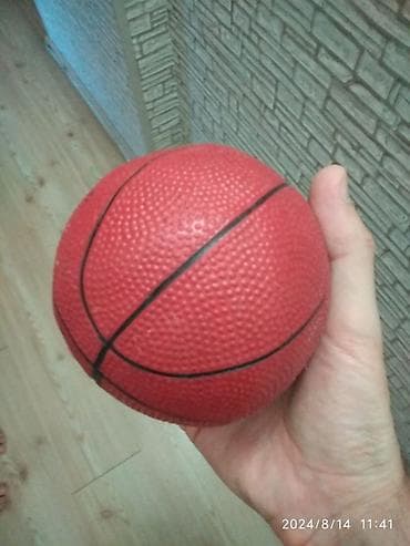 Basketbol səbəti,uşaq üçün