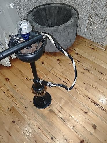 Nərgilə komplekti - Klassik dizaynlı, hündür gövdəli nərgilə - Rəng