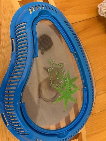 Животные: Məhsul: Kiçik tısbağa/ikiqat amfibiya üçün portativ akvaterraryum — 1