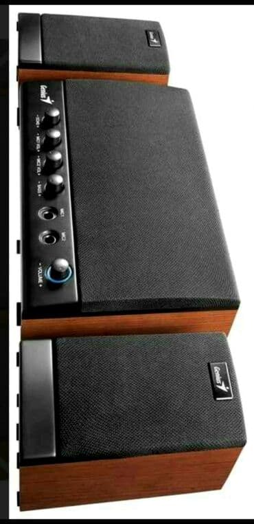 karaoke mikrofon: Dinamiklər ,GENIUS'. * Karaoke funksiyası * İki mikrofon — 3