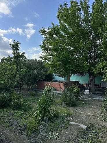 bine savxozda satilan heyet evleri: 18 sot torpağ tam satılırhissə -hissədə satılır razılaşma yolu ilə — 7
