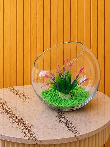 sobo wp 6001: Yumru akvarium, Boş, 3 l, Ünvandan götürmə, Pulsuz çatdırılma, Ödənişli çatdırılma — 4