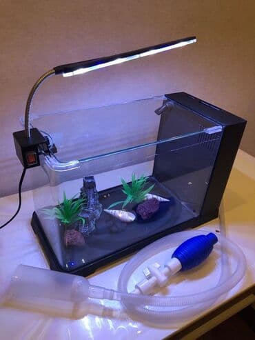 Dördbucaq akvarium, Boş, 10 l, Ünvandan götürmə