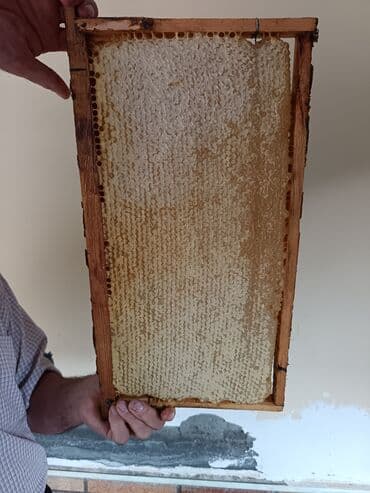 dağ balı: Təbii bal Şanlı bal süzmə (çiçək) balı mövcuddur whatsaap aktivdi — 4