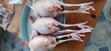 ayagi tuklu toyuqlar: Təmizlənmiş toyuqlar — 2