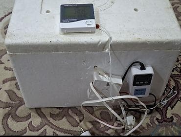 Kənd təssərüfatı avadanlığı: 40 yumurta tutumlu tam islek veziyetde teze beyn alinib cox ucuz — 2