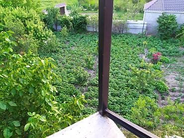 дача в баку аренда посуточно: Шемахы, 175 м², 4 комнаты, Без бассейна, Газ, Электричество, Водопровод — 5