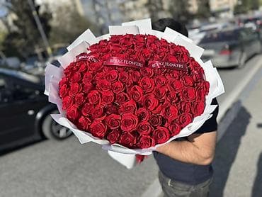 101 roza Qırmızı qüllərdən nəhəng buket - Tərkib: çoxsaylı, iri başlı