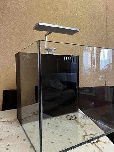 akvar: Hazir Okean akvariumu satilir. 40x40 a samp sistemidi ishigi motoru — 2