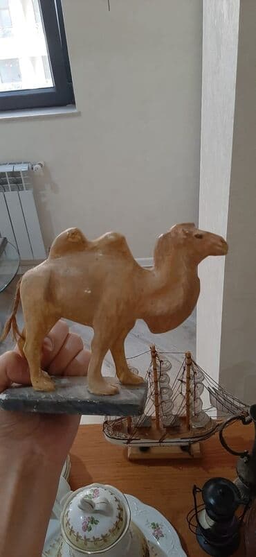 deve eti qiymeti: Fiqur — 2