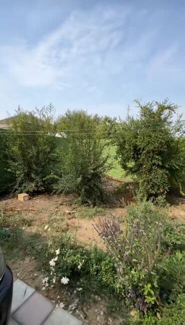 quba is elanlari: 4 otaqlı, 140 kv. m, Yeni təmirli — 14