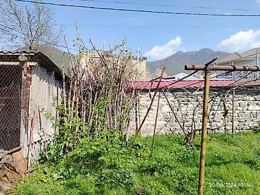 zaqatala telebe evi: 3 sot, Biznes üçün, Mülkiyyətçi, Bələdiyyə — 5