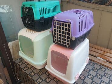 переноска для кошек баку: 6edee Plastik dasimalar 20-25azn yatmaq ucun dosek 10azn suqabi — 2