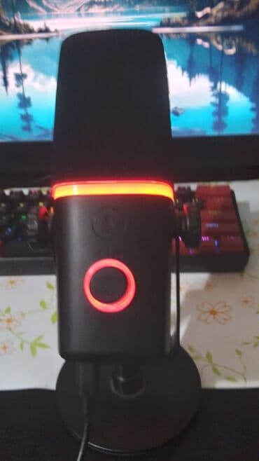 5 ci sinif ingilis dili kitabi lugeti: USB/XLR studiya mikrofonu – RGB işıqlı Kompüter noutbuk telefon v.s — 7