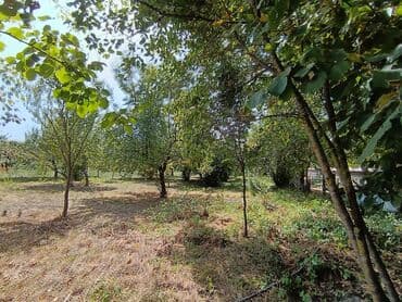 gence şeheri: 22 sot, Kənd təsərrüfatı, Mülkiyyətçi, Kupça (Çıxarış) — 9