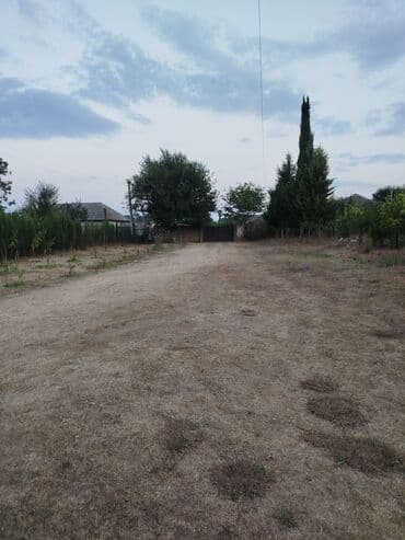 şirvan torpaq: 61 sot, Kənd təsərrüfatı, Kupça (Çıxarış) — 2