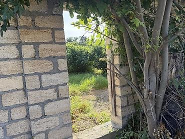 Daşınmaz əmlak: 6 sot, Tikinti, Mülkiyyətçi, Kupça (Çıxarış) — 6