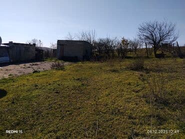 Kənd təsərrüfatı, Kupça (Çıxarış)