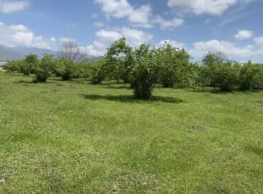 дом на колесах turbo az: 45 соток, Для строительства, Собственник, Купчая — 2