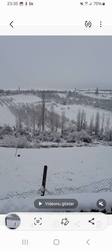 lenkeran torpaq satilir: Tikinti, Mülkiyyətçi, Kupça (Çıxarış) — 6