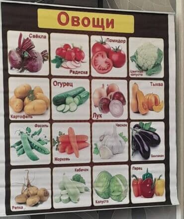 светодиодные экраны для наружной рекламы: Uşaq bağçalarda tədris üçün və ibtidai təhsil üçün rus dilində olan — 2