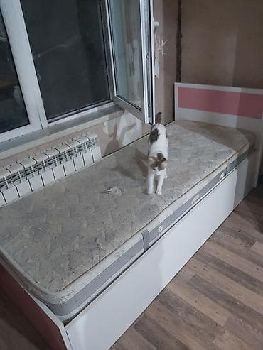 Qız üçün, İşlənmiş, Təknəfərlik çarpayı — 3