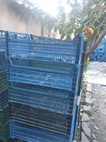 lazer aparatı qiyməti: Satilir plastiq Limon yeşikleri qiymeti 40 qepik kime lazimdirsa — 3