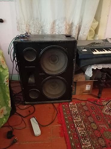 playstation 3 oyun diskleri: Tək kabinetli səs gücləndirici akustik sistem - Böyük ölçülü passiv — 1